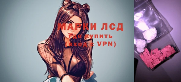 PSILOCYBIN Алзамай