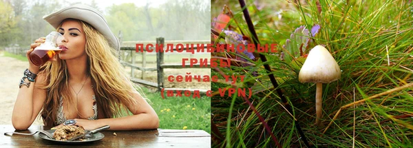 метадон Алексин