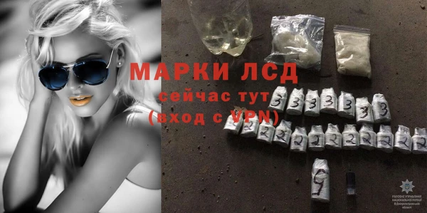 PSILOCYBIN Алзамай