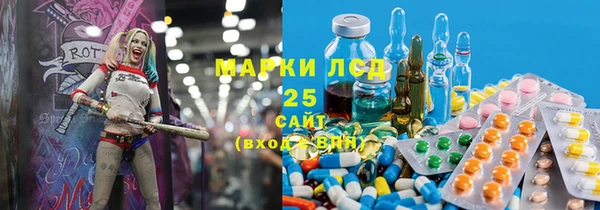 PSILOCYBIN Алзамай
