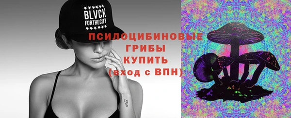PSILOCYBIN Алзамай