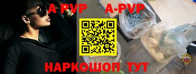 СК Новодвинск
