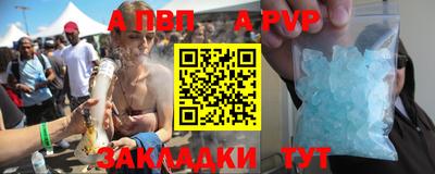 СК Новодвинск