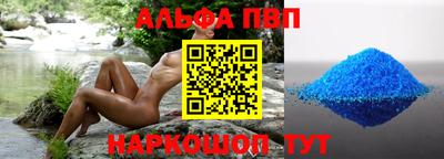 СК Новодвинск