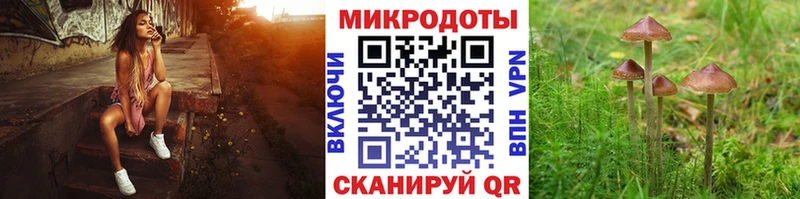 Галлюциногенные грибы Magic Shrooms  Советская Гавань 