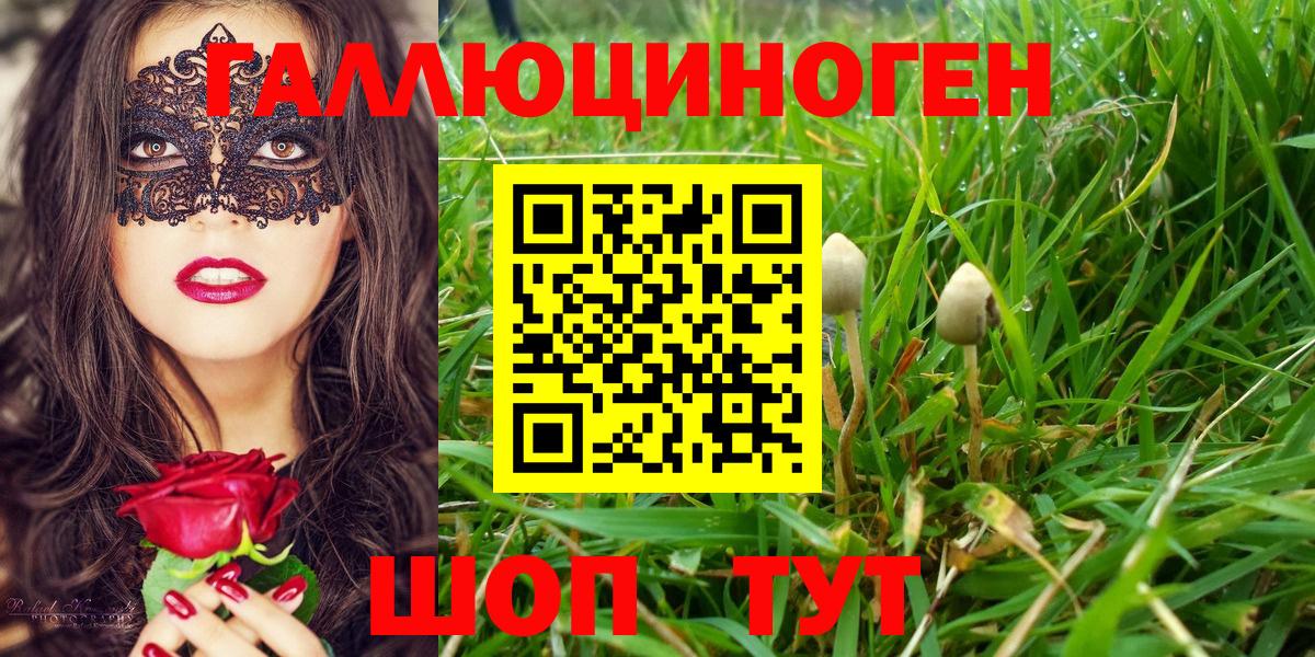 Галлюциногенные грибы Psilocybe  Галлюциногенные грибы Psilocybe  Советская Гавань  как найти наркотики  Вход с VPN 