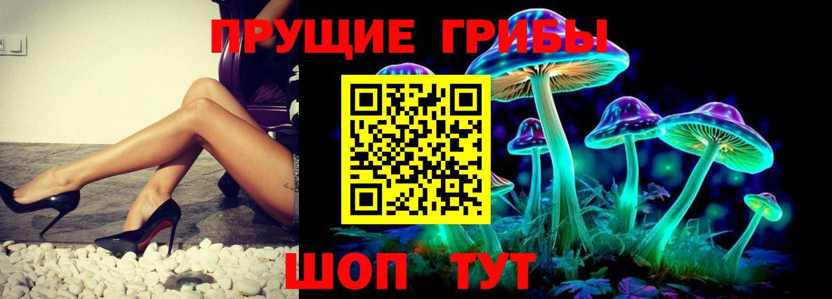 Псилоцибиновые грибы Psilocybine cubensis Советская Гавань