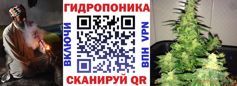 сколько стоит  Советская Гавань  Каннабис THC 21% 